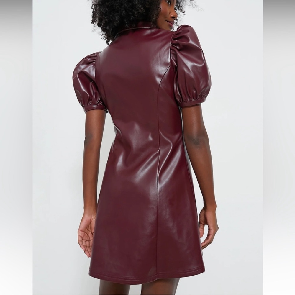 TUCKERNUCK Hyacinth House Burgundy Front Zip Faux Leather Mini Dress - Picture 3 of 9